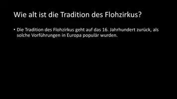 Vorschau - Arbeitsblätter - AB mit Fragen zum Thema "Flohzirkus" + Lösungsblatt - Seite 3