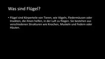 Vorschau - Arbeitsblätter - AB mit Fragen zum Thema "Flügel" + Lösungsblatt + Infografik - Seite 3
