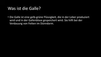 Vorschau - Arbeitsblätter - AB mit Fragen zum Thema "Galle" + Lösungsblatt + Infografik - Seite 3