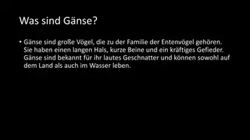 Vorschau - Arbeitsblätter - AB mit Fragen zum Thema "Gänse" + Lösungsblatt + Infografik - Seite 3