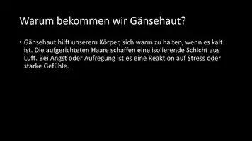 Vorschau - Arbeitsblätter - AB mit Fragen zum Thema "Gänsehaut" + Lösungsblatt - Seite 3