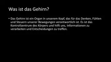 Vorschau - Arbeitsblätter - AB mit Fragen zum Thema "Gehirn" + Lösungsblatt + Infografik - Seite 3