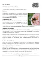 Vorschau - Arbeitsblätter - Die Insekten - Arbeitsblatt mit Erklärvideo - Seite 3