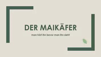 Vorschau - Präsentationen/Tafelbilder - Der Maikäfer (Präsentation und H5P) - Deckblatt