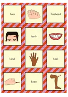 Vorschau - Spiele - Body Parts Matching Pairs Game (Englisch) - Seite 3