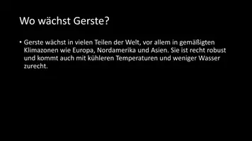 Vorschau - Arbeitsblätter - AB mit Fragen zum Thema "Gerste" + Lösungsblatt - Seite 3