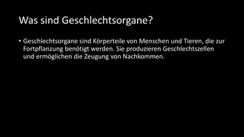 Vorschau - Arbeitsblätter - AB mit Fragen zum Thema "Geschlechtsorgane" + Lösungsblatt - Seite 2