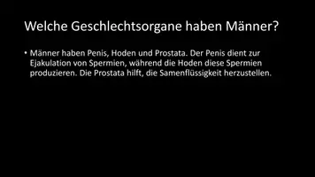 Vorschau - Arbeitsblätter - AB mit Fragen zum Thema "Geschlechtsorgane" + Lösungsblatt - Seite 3