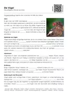 Vorschau - Arbeitsblätter - Die Vögel - Arbeitsblatt mit Erklärvideo - Seite 3