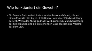 Vorschau - Arbeitsblätter - AB mit Fragen zum Thema "Gewehr" + Lösungsblatt - Seite 3