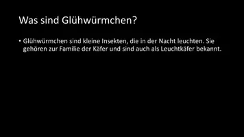 Vorschau - Arbeitsblätter - AB mit Fragen zum Thema "Glühwürmchen" + Lösungsblatt + Infografik - Seite 3