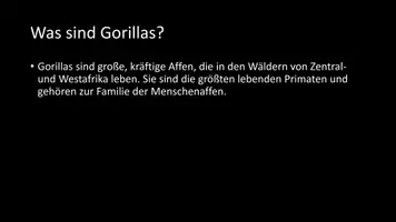 Vorschau - Arbeitsblätter - AB mit Fragen zum Thema "Gorillas" + Lösungsblatt + Infografik - Seite 3