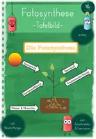Vorschau - Präsentationen/Tafelbilder - Tafelbild I Fotosynthese I analog - Deckblatt
