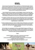 Vorschau - Arbeitsblätter - Esel Sachtext mit 5 Fragen zur Sinnentnahme - Deckblatt