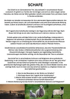 Vorschau - Arbeitsblätter - Schafe Sachtext mit 5 Fragen zur Sinnentnahme - Deckblatt