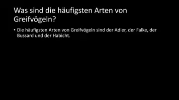 Vorschau - Arbeitsblätter - AB mit Fragen zum Thema "Greifvögel" + Lösungsblatt + Infografik - Seite 3