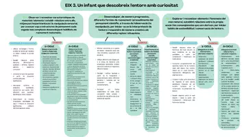 Vista previa - Unidades / Secuencias / Situaciones de Aprendizaje - RESUM EIXOS CURRÍCULUM INFANTIL - página 3