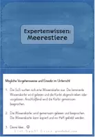 Vorschau - Stationenlernen - Expertenwissen zu den Meerestiere / Tiere im Meer (2.-4. Klasse) - Seite 3