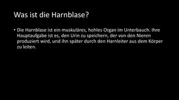 Vorschau - Arbeitsblätter - AB mit Fragen zum Thema "Harnblase" + Lösungsblatt + Infografik - Seite 3