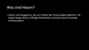 Vorschau - Arbeitsblätter - AB mit Fragen zum Thema "Hasen" + Lösungsblatt + Infografik - Seite 3