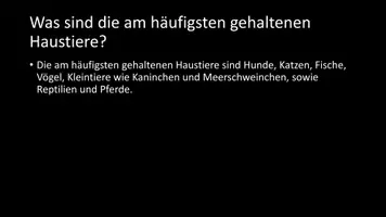 Vorschau - Arbeitsblätter - AB mit Fragen zum Thema "Haustiere" + Lösungsblatt + Infografik - Seite 3