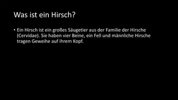 Vorschau - Arbeitsblätter - AB mit Fragen zum Thema "Hirsche" + Lösungsblatt + Infografik - Seite 3