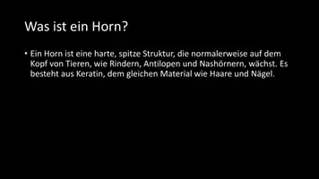 Vorschau - Arbeitsblätter - AB mit Fragen zum Thema "Horn" + Lösungsblatt + Infografik - Seite 2