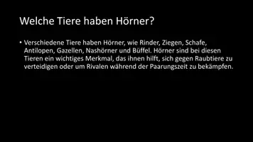 Vorschau - Arbeitsblätter - AB mit Fragen zum Thema "Horn" + Lösungsblatt + Infografik - Seite 3
