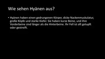 Vorschau - Arbeitsblätter - AB mit Fragen zum Thema "Hyänen" + Lösungsblatt - Seite 3