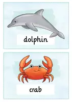 Vorschau - Bildkarten - Flash Cards Under the Sea - Seite 1