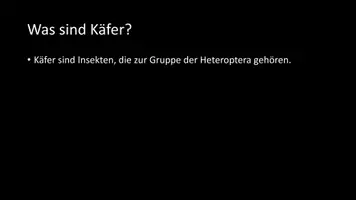 Vorschau - Arbeitsblätter - AB mit Fragen zum Thema "Käfer" + Lösungsblatt + Infografik - Seite 3