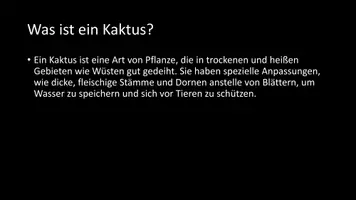 Vorschau - Arbeitsblätter - AB mit Fragen zum Thema "Kakteen" + Lösungsblatt + Infografik - Seite 3