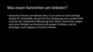 Vorschau - Arbeitsblätter - AB mit Fragen zum Thema "Kaninchen" + Lösungsblatt + Infografik - Seite 3