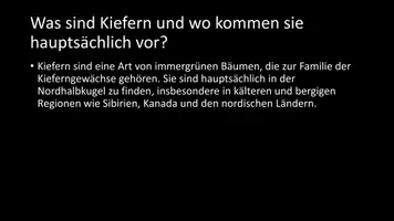 Vorschau - Arbeitsblätter - AB mit Fragen zum Thema "Kiefer (Baum)" + Lösungsblatt + Infografik - Seite 3