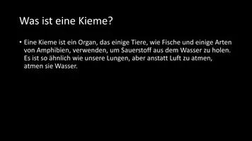 Vorschau - Arbeitsblätter - AB mit Fragen zum Thema "Kiemen" + Lösungsblatt + Infografik - Seite 3