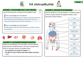Vorschau - Stundenentwürfe - Die Immunabwehr - Fertige Biologiestunde 8. Klasse | Unterrichtsreihe Immunsystem - Seite 2