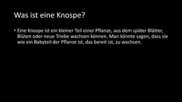 Vorschau - Arbeitsblätter - AB mit Fragen zum Thema "Knospen" + Lösungsblatt + Infografik - Seite 3