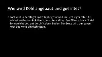 Vorschau - Arbeitsblätter - AB mit Fragen zum Thema "Kohl" + Lösungsblatt - Seite 3