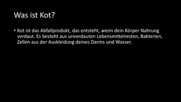 Vorschau - Arbeitsblätter - AB mit Fragen zum Thema "Kot" + Lösungsblatt + Infografik - Seite 3