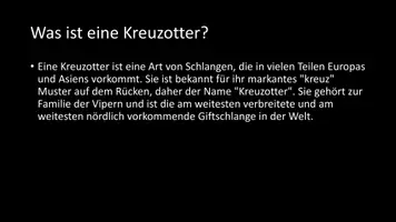 Vorschau - Arbeitsblätter - AB mit Fragen zum Thema "Kreuzotter" + Lösungsblatt + Infografik - Seite 3