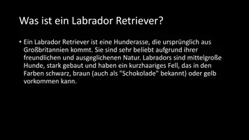 Vorschau - Arbeitsblätter - AB mit Fragen zum Thema "Labrador" + Lösungsblatt - Seite 2