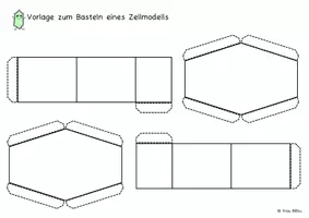 Vorschau - Arbeitsblätter - Bastelvorlage Zellmodell basteln Zellbiologie Zelle - Seite 2