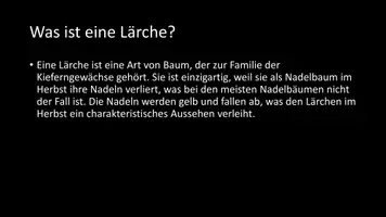 Vorschau - Arbeitsblätter - AB mit Fragen zum Thema "Lärchen" + Lösungsblatt + Infografik - Seite 3