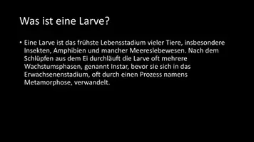 Vorschau - Arbeitsblätter - AB mit Fragen zum Thema "Larven" + Lösungsblatt - Seite 2