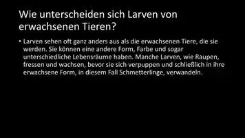 Vorschau - Arbeitsblätter - AB mit Fragen zum Thema "Larven" + Lösungsblatt - Seite 3