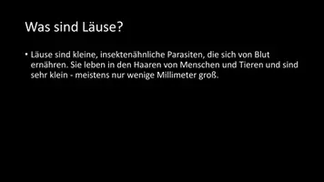 Vorschau - Arbeitsblätter - AB mit Fragen zum Thema "Läuse" + Lösungsblatt + Infografik - Seite 3