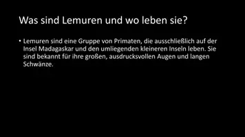 Vorschau - Arbeitsblätter - AB mit Fragen zum Thema "Lemuren" + Lösungsblatt - Seite 2