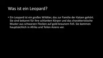 Vorschau - Arbeitsblätter - AB mit Fragen zum Thema "Leoparden" + Lösungsblatt + Infografik - Seite 3