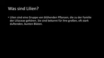 Vorschau - Arbeitsblätter - AB mit Fragen zum Thema "Lilien" + Lösungsblatt - Seite 2