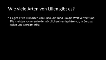 Vorschau - Arbeitsblätter - AB mit Fragen zum Thema "Lilien" + Lösungsblatt - Seite 3